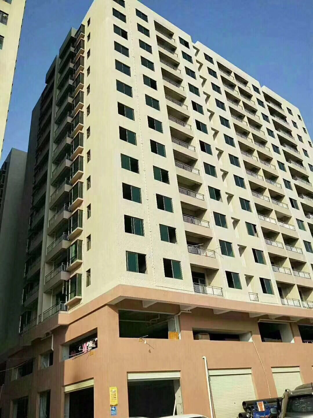 长安村委集资房「花期美居」厦边轻轨站6栋花园6200一平(图4)