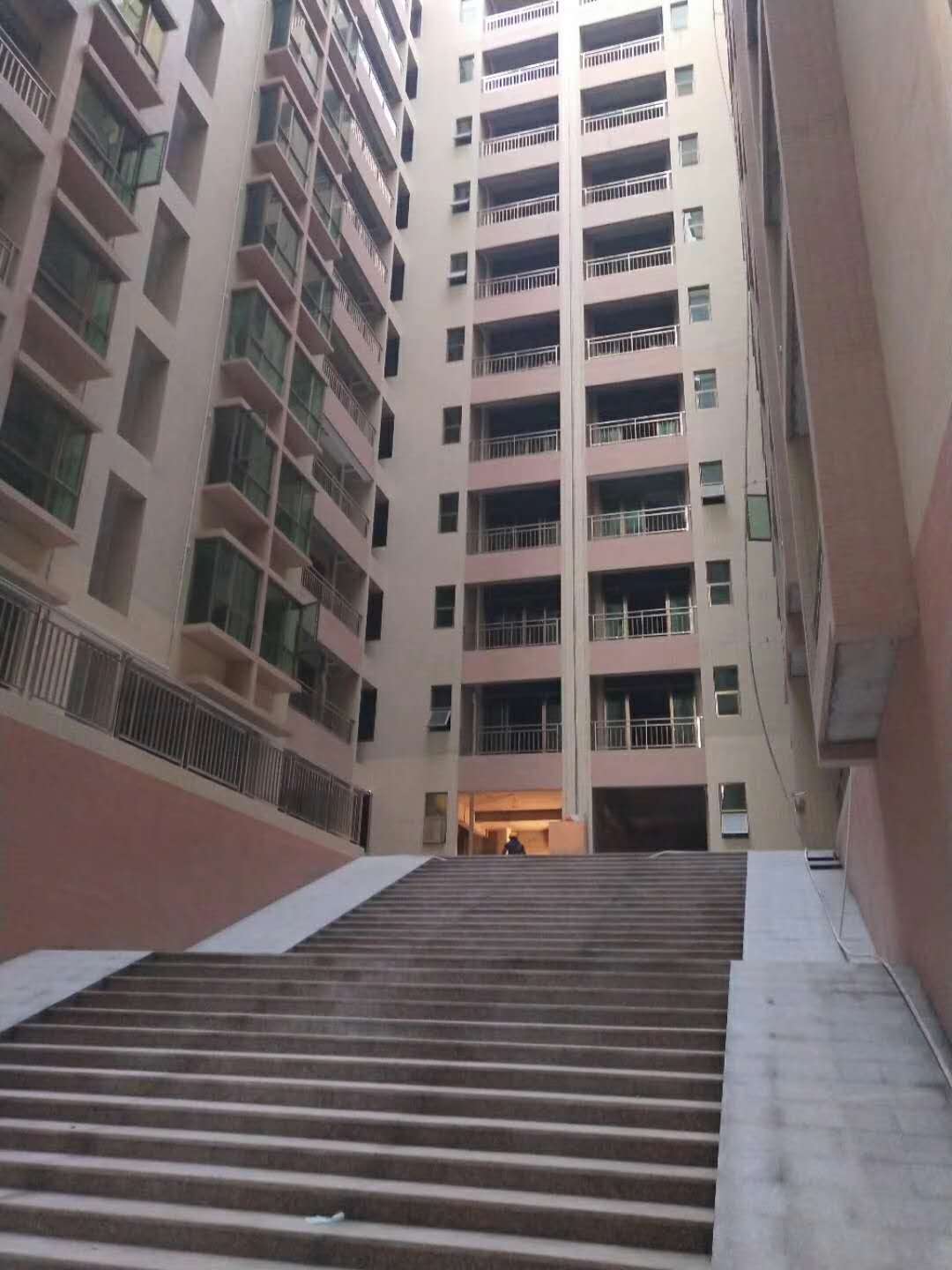 长安村委集资房「花期美居」厦边轻轨站6栋花园6200一平(图6)