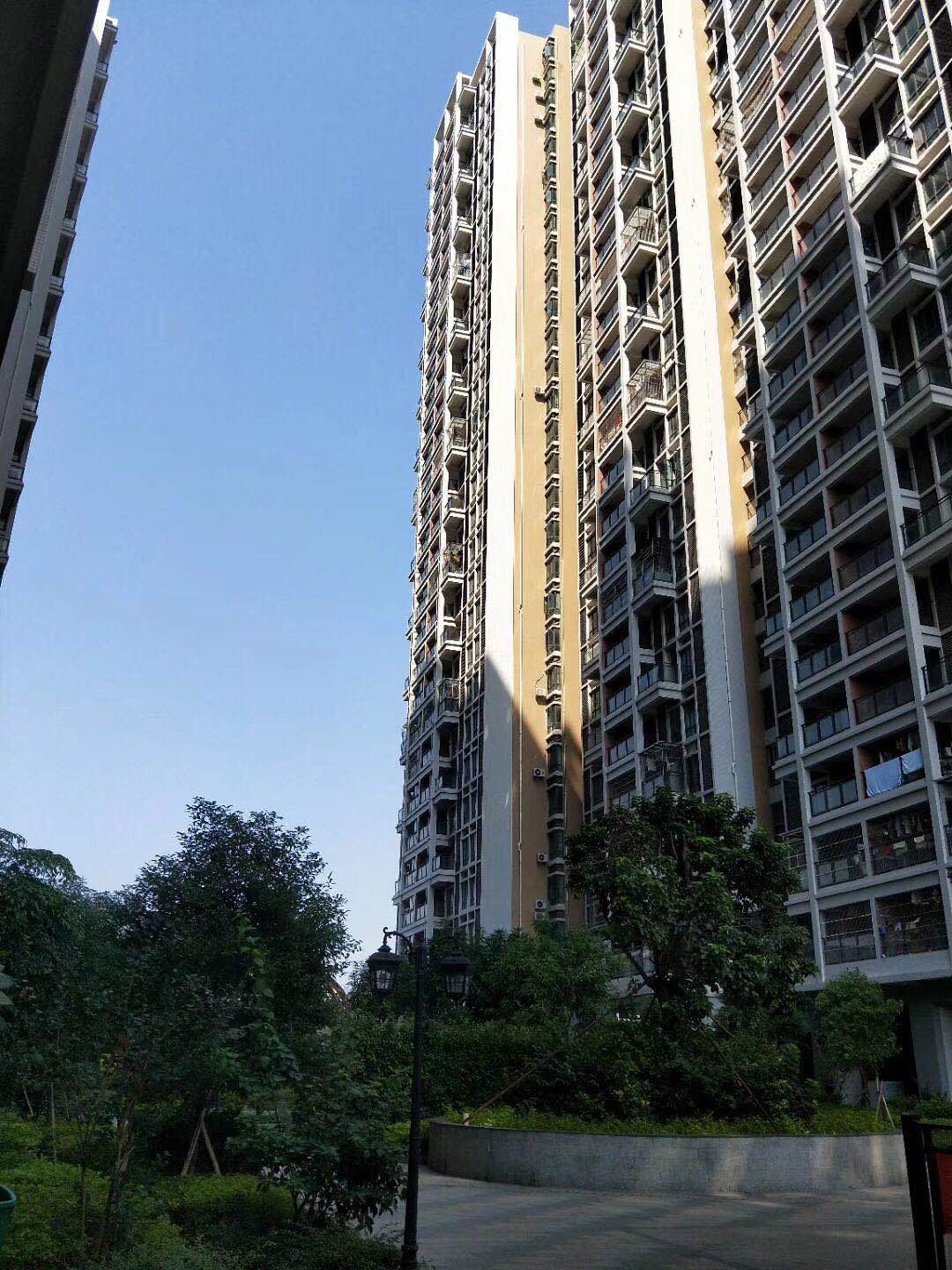 沙井村委统建楼【中泰花园】沙井海岸城旁28500一平(图9) 沙井村委统建楼