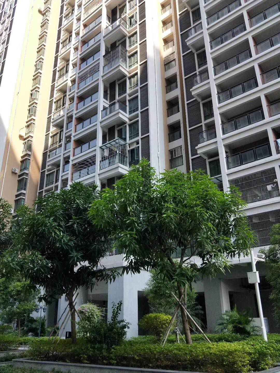 沙井村委统建楼【中泰花园】沙井海岸城旁28500一平(图10) 沙井村委统建楼