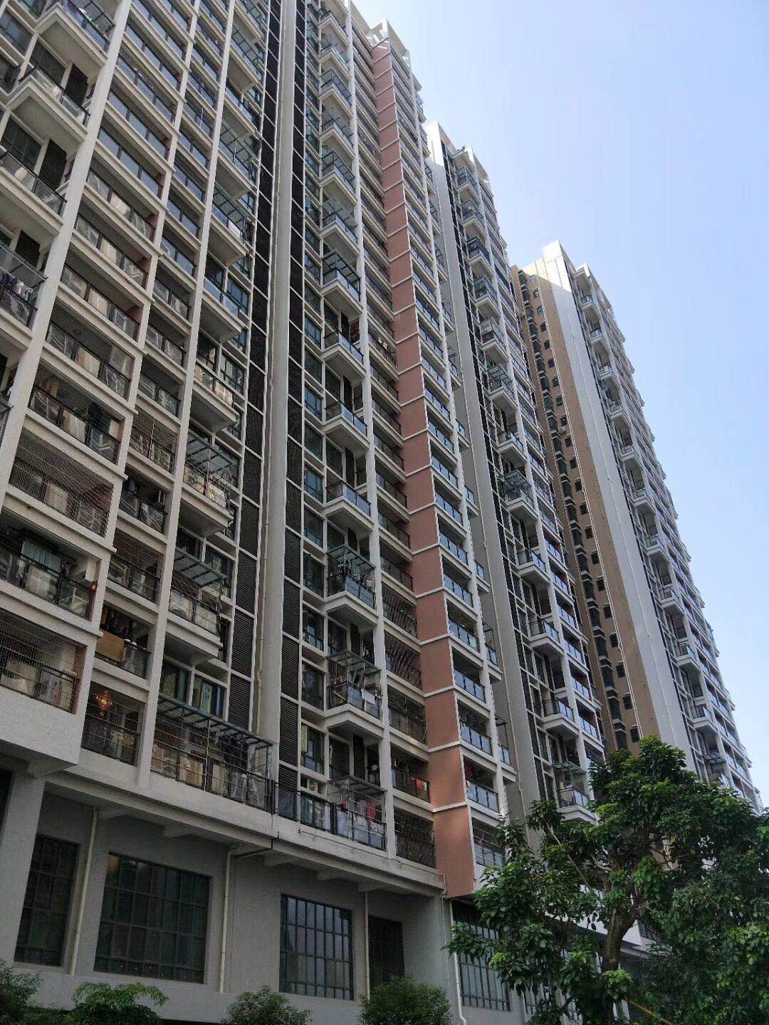 沙井村委统建楼【中泰花园】沙井海岸城旁28500一平(图12) 沙井村委统建楼