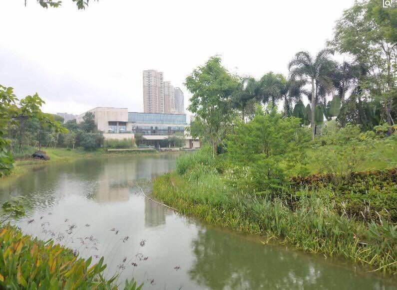 深圳14号线地铁口【牧林湖花园】湿地公园的红本房(图4)