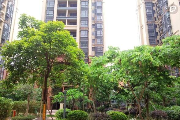 龙溪富士康「龙城花园」红本商品房首付14万起(图8)