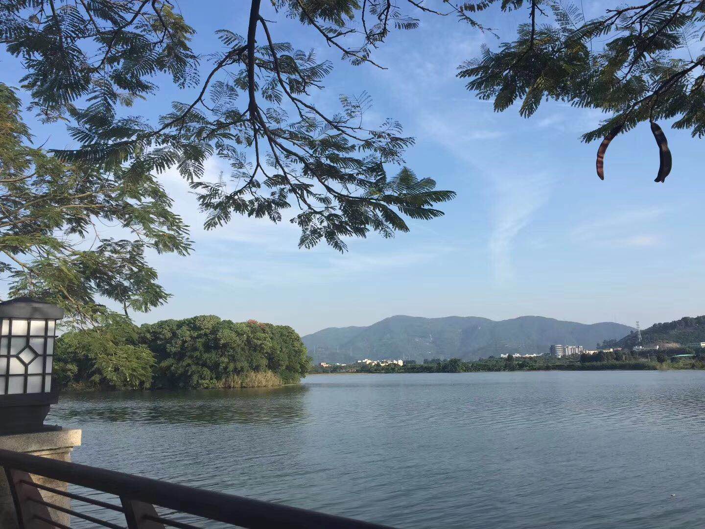 厚街红本商品房【观山领域】养生梦寐以求之地(图9)