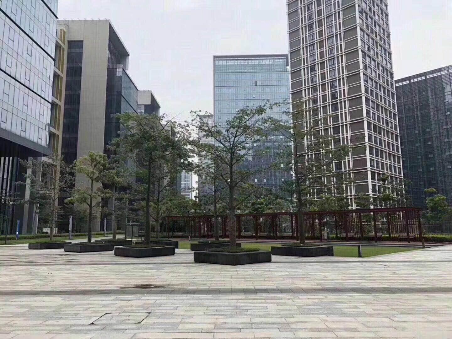 布吉李朗地铁口房【中海帝豪国际】24栋花园小区(图4)