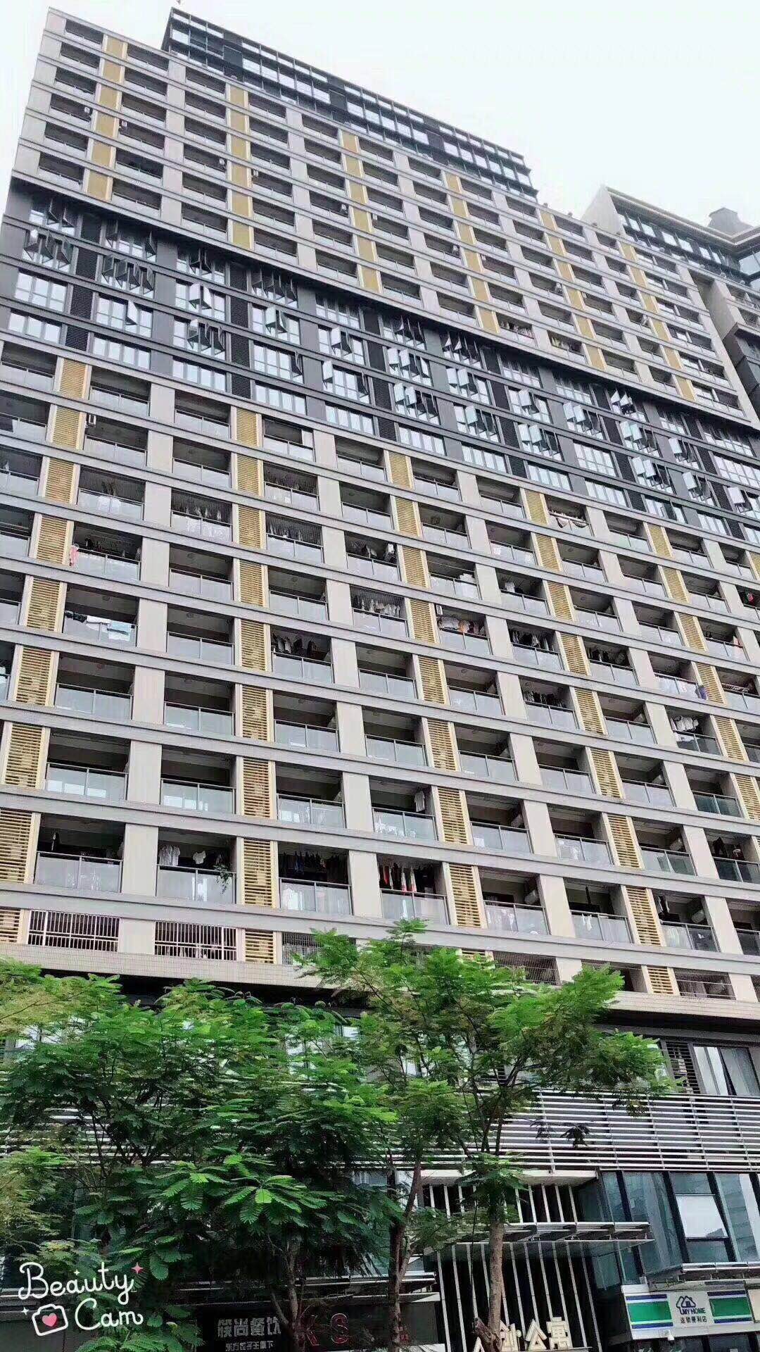 布吉李朗地铁口房【中海帝豪国际】24栋花园小区(图6)