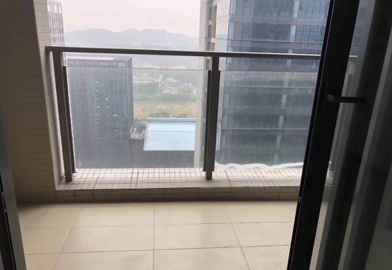 布吉李朗地铁口房【中海帝豪国际】24栋花园小区(图9)