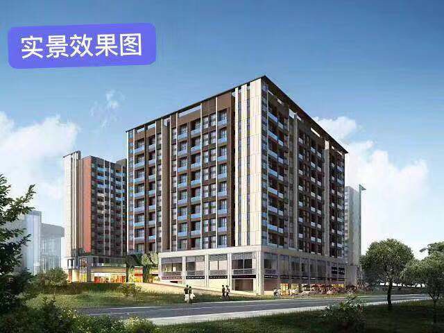 松山湖后花园3栋3500一平带装修【联鑫嘉园】大朗村委集资房(图2)