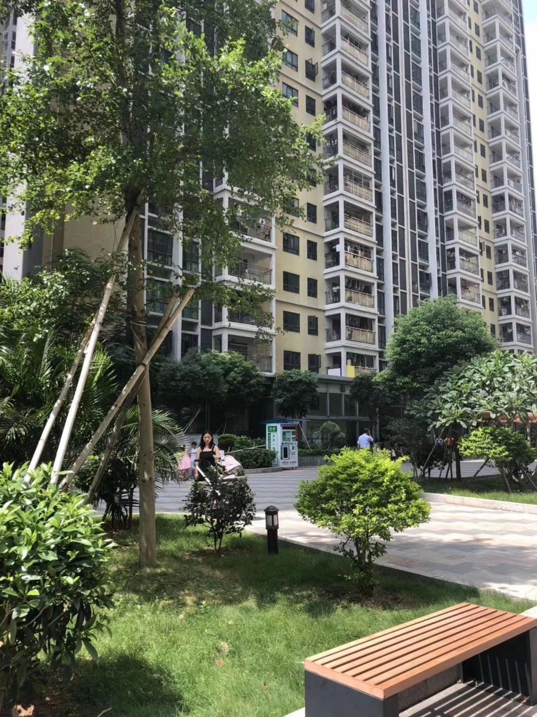 松岗村委统建楼【红星花园】16栋花园小区(图4)