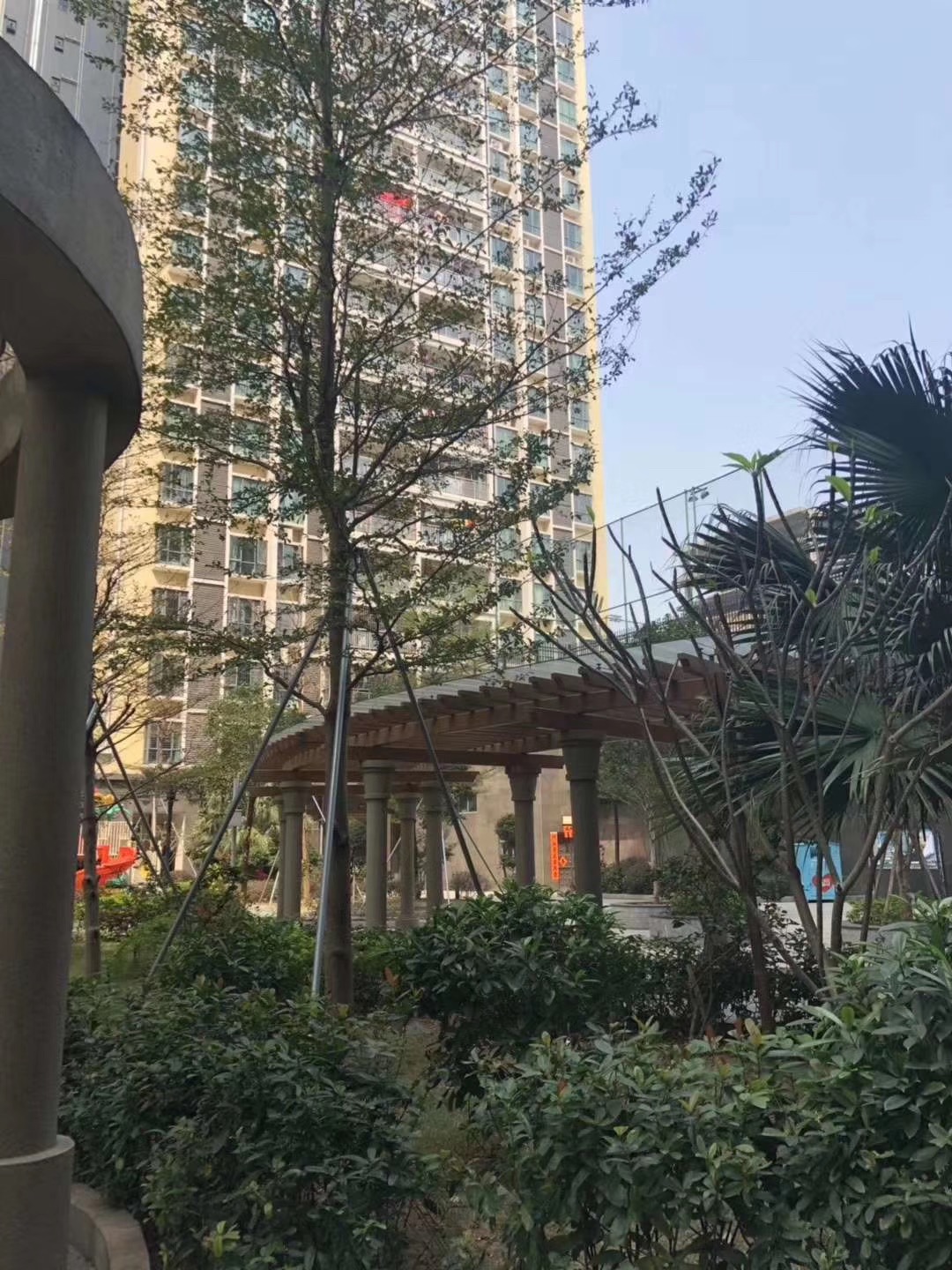 松岗村委统建楼【红星花园】16栋花园小区(图5)