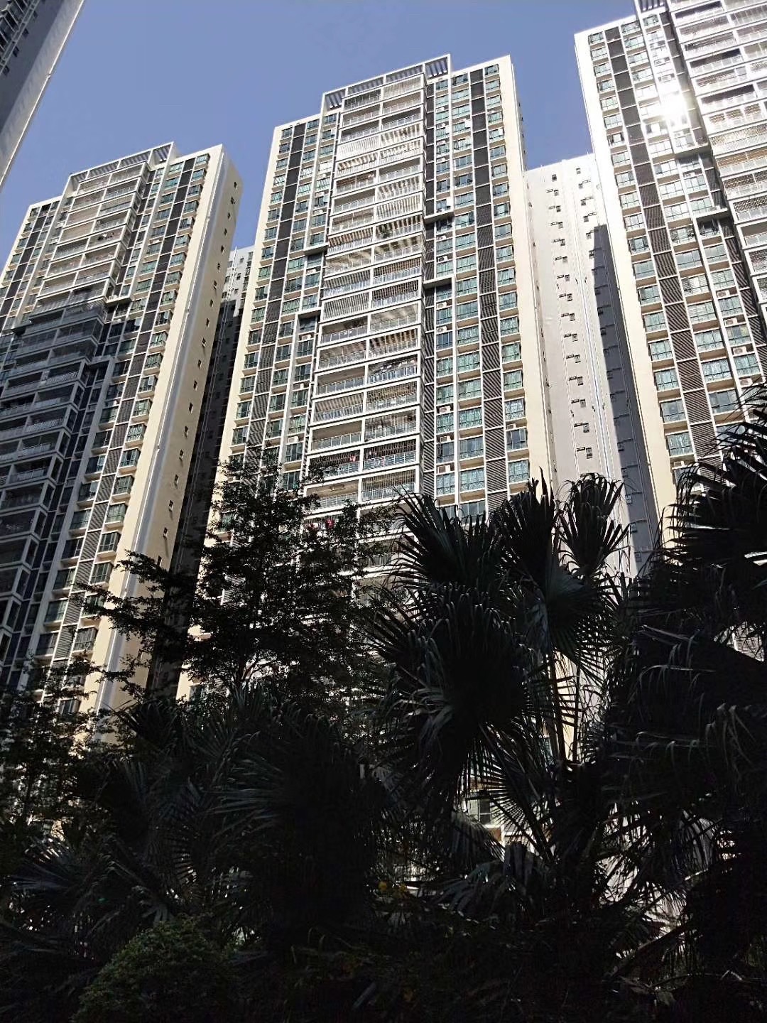 松岗村委统建楼【红星花园】16栋花园小区(图7)