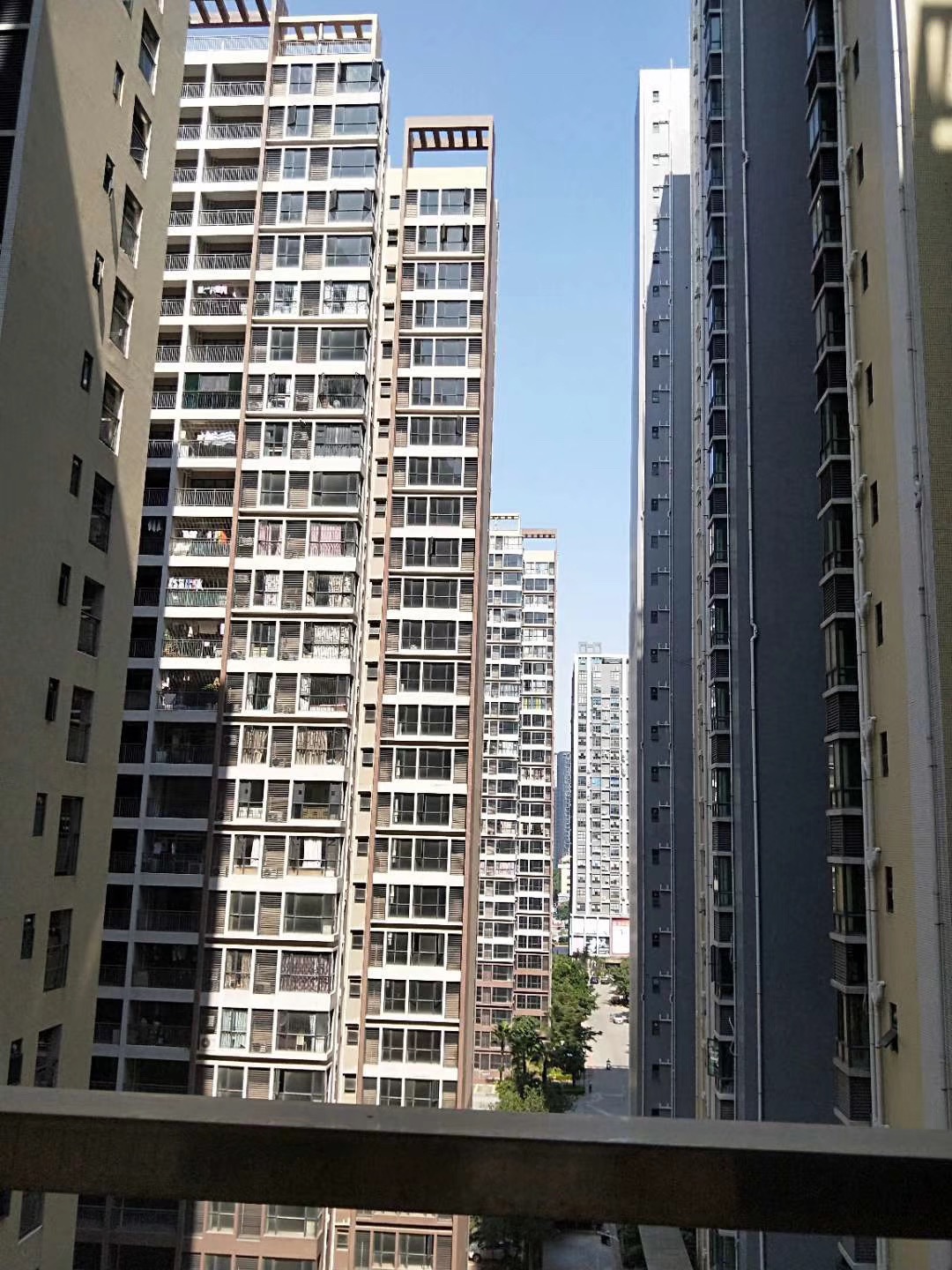 松岗村委统建楼【红星花园】16栋花园小区(图8)