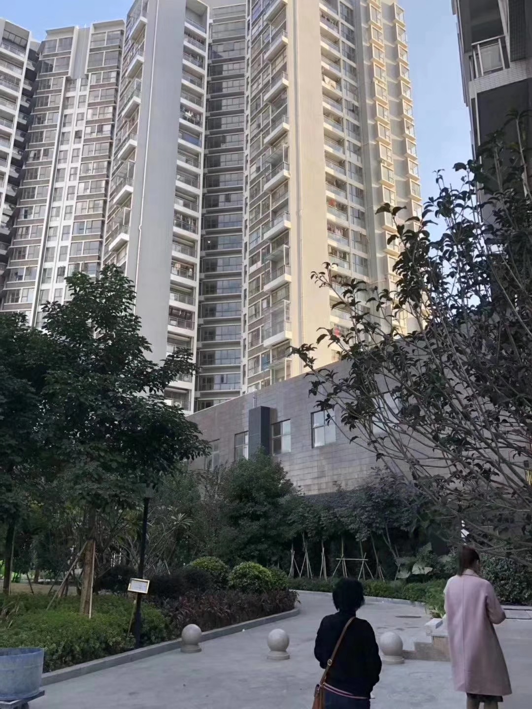 国际会展中心旁【德馨花园】沙井村委绿本房5栋花园(图4)