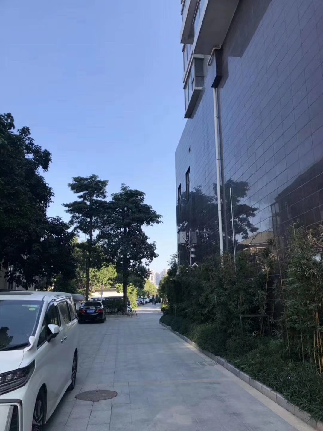 国际会展中心旁【德馨花园】沙井村委绿本房5栋花园(图6)