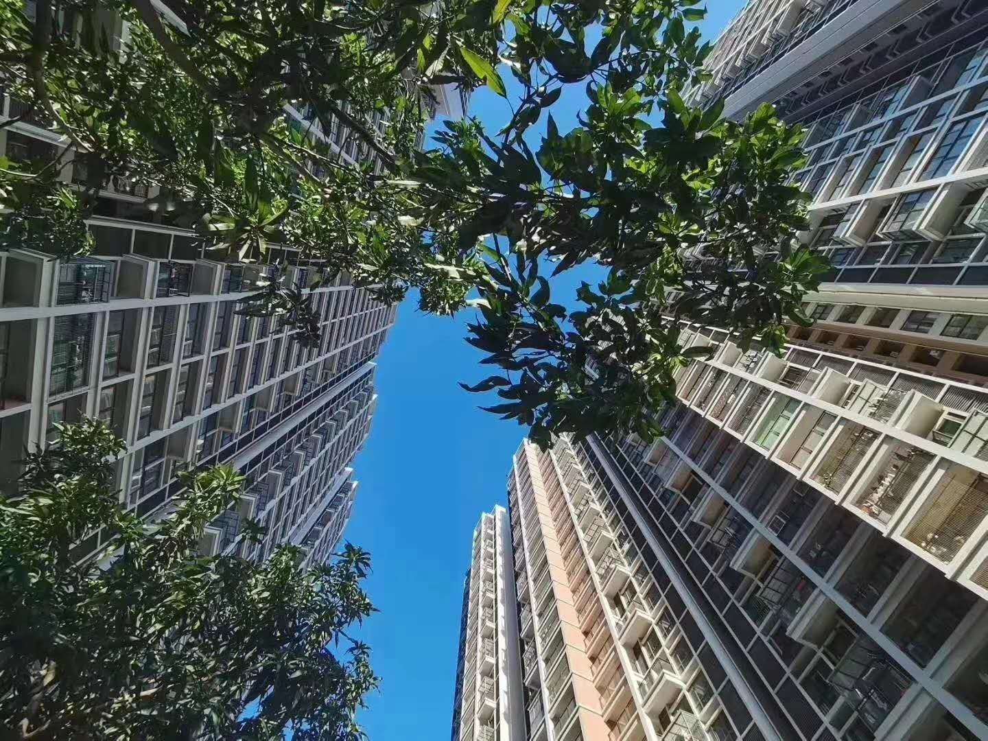 沙井村委统建楼【中泰花园】沙井海岸城旁28500一平(图3) 沙井村委统建楼【中泰花园】沙井海岸城旁28500一平(图3)