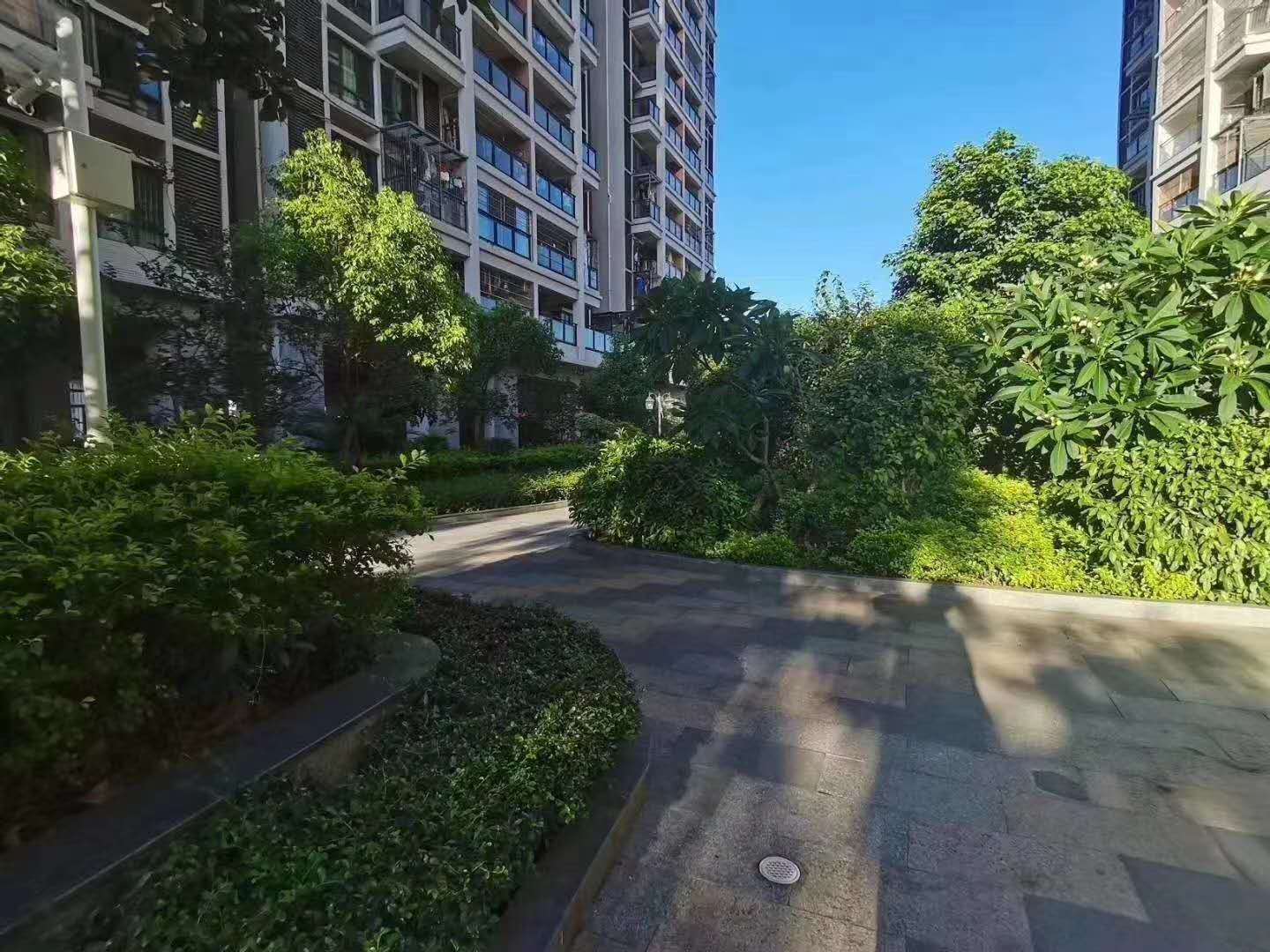 沙井村委统建楼【中泰花园】沙井海岸城旁28500一平(图5) 沙井村委统建楼【中泰花园】沙井海岸城旁28500一平(图5)