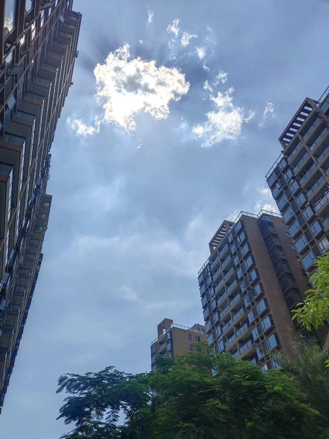 真正松山湖5栋花园【香榭松湖】价格14000起送豪华装修(图3)