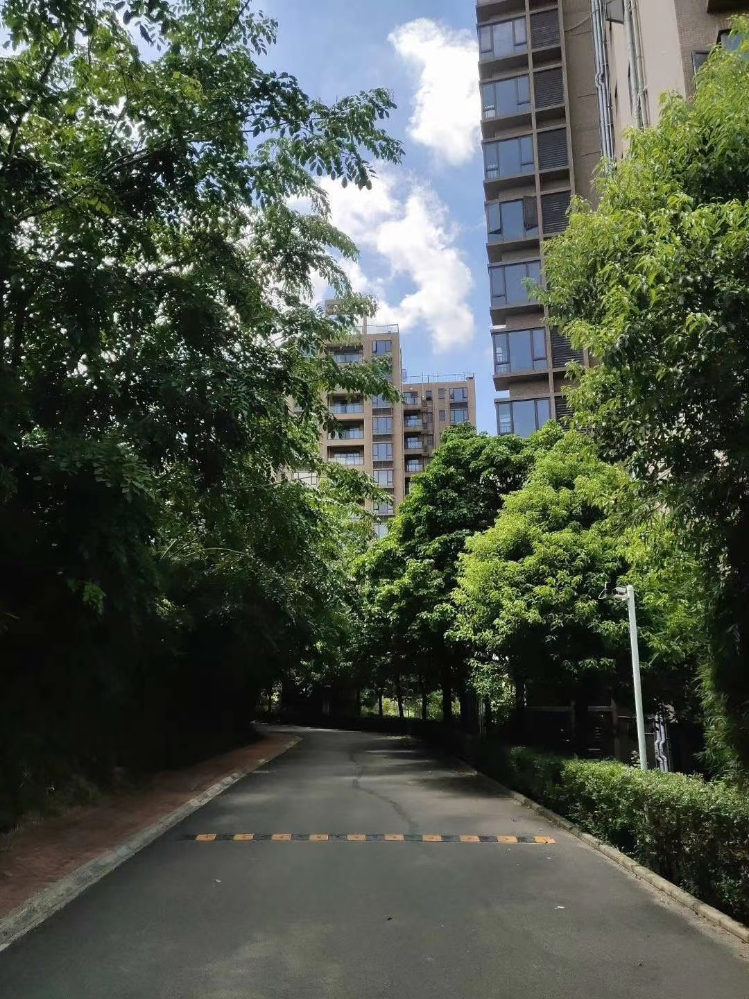 真正松山湖5栋花园【香榭松湖】价格14000起送豪华装修(图4)