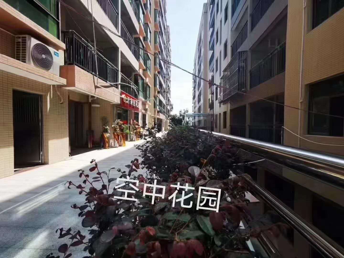 龙华20分钟【御景星城】樟木头4栋花园4600一平(图5)