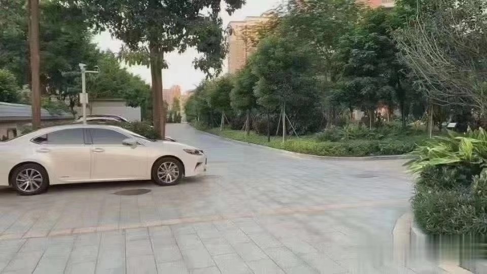 国际会展中心旁【德馨花园】沙井村委绿本房5栋花园(图9)