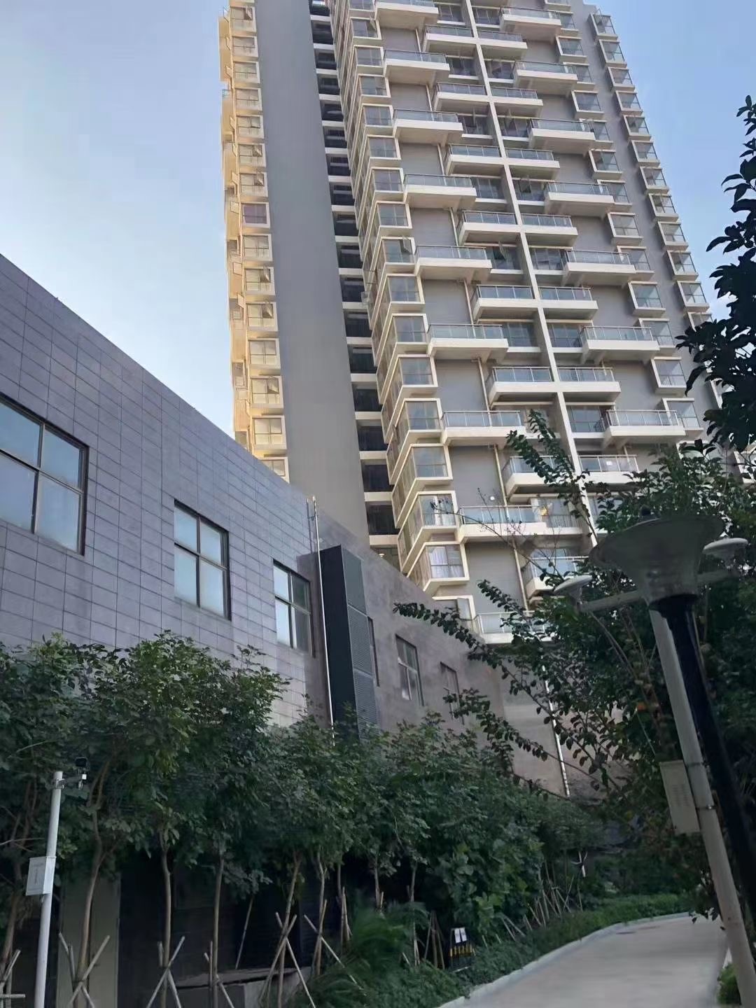 国际会展中心旁【德馨花园】沙井村委绿本房5栋花园(图5)