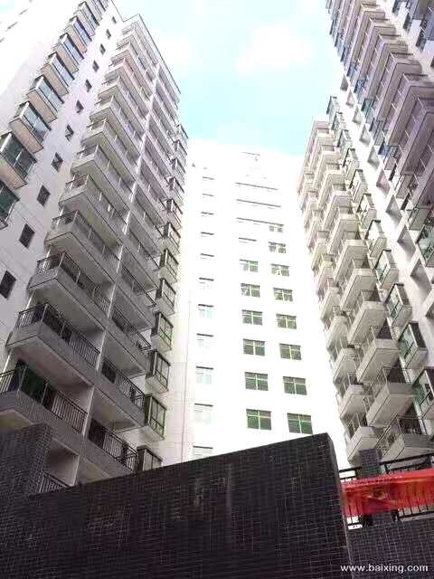 惠州新圩村委统建楼【山水花园】4栋花园小区(图3)