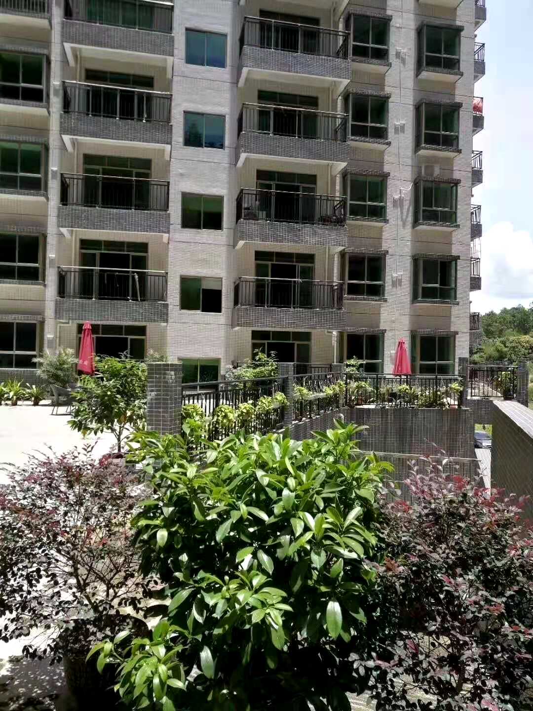 惠州新圩村委统建楼【山水花园】4栋花园小区(图6)