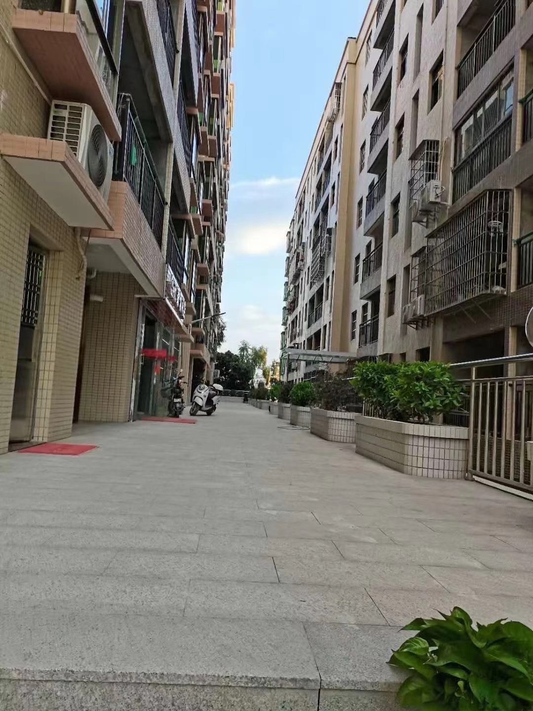 龙华20分钟【御景星城】樟木头4栋花园4600一平(图3)