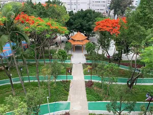 大浪黄麻埔【御锦家园】精装两房首付21万起(图3) 大浪黄麻埔【御锦家园】精装两房首付21万起(图3)