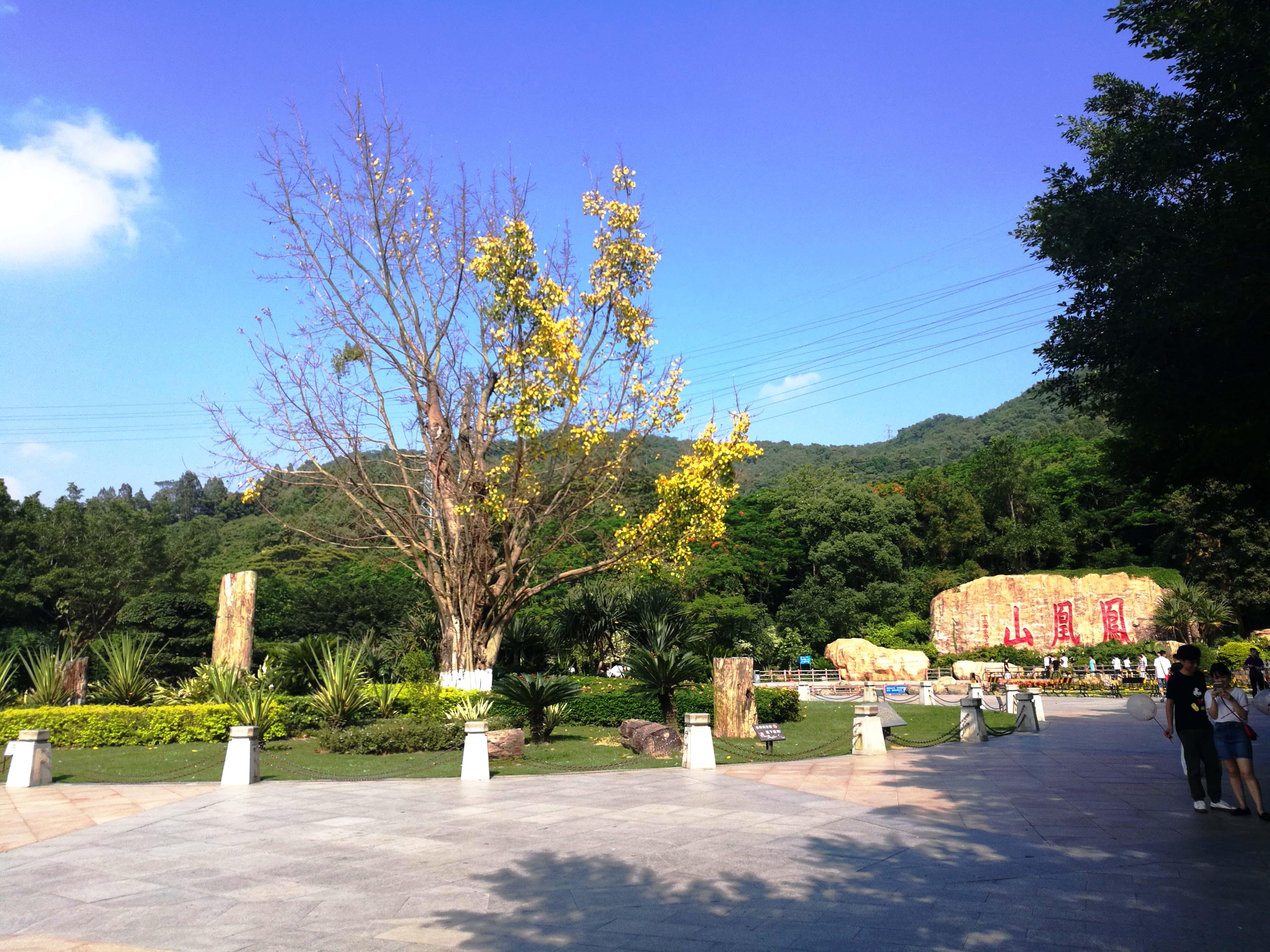 福永凤凰山【凯茵智慧城】精装两房首付32.8万起(图2)