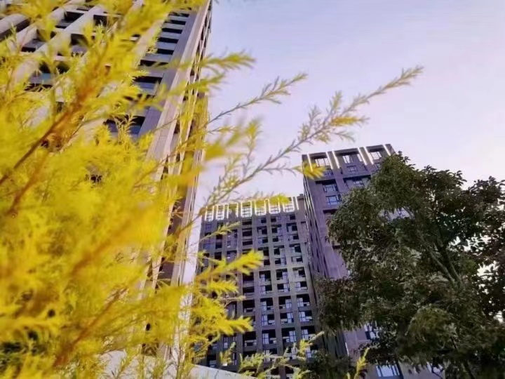 塘厦11栋花园【伴山水岸城】精装两房首付9万起(图2) 塘厦11栋花园【伴山水岸城】精装两房首付9万起(图2)