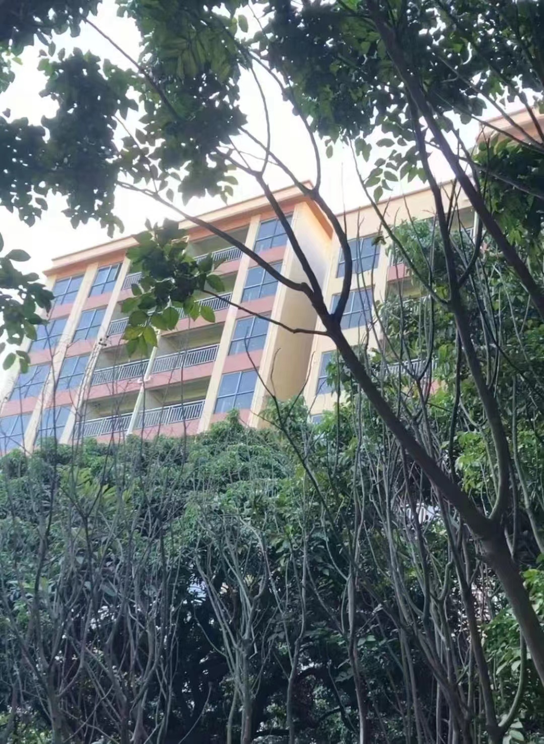 地铁30分钟到光明【鹏程花园】4栋绿本房首付9万起(图2)