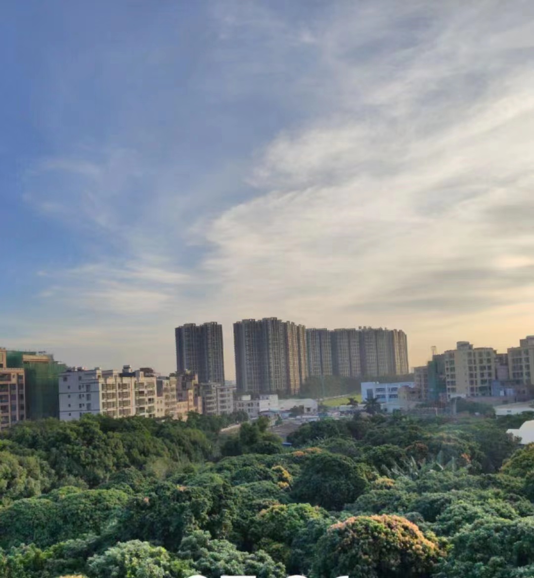 地铁30分钟到光明【鹏程花园】4栋绿本房首付9万起(图3)