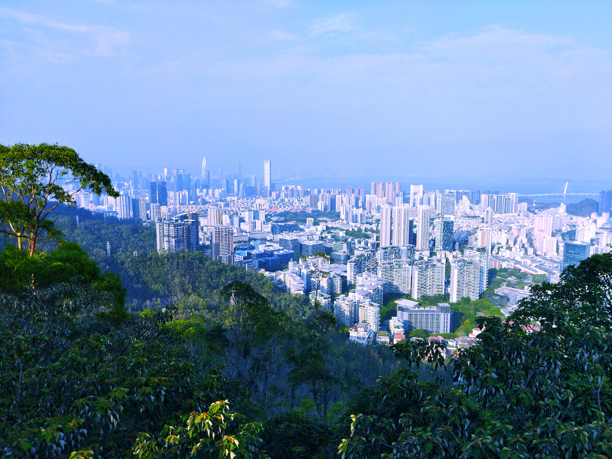 地铁南山站350米【荔馨苑】拆迁变红本房133万一套起(图8) 地铁南山站350米【荔馨苑】拆迁变红本房133万一套起(图8)