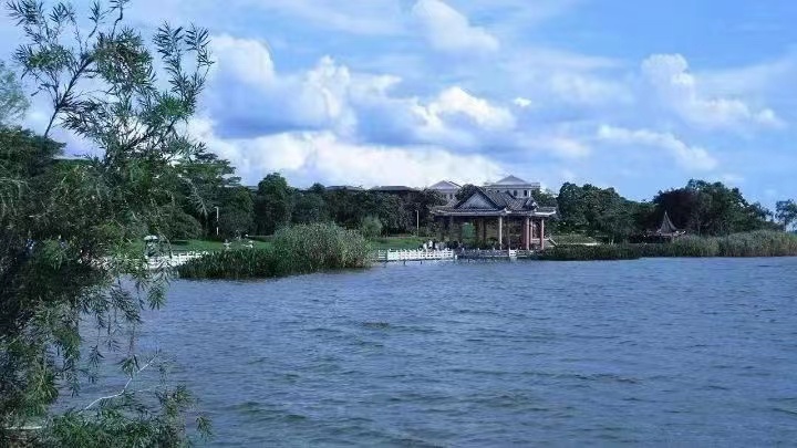 白菜价2980一平【世纪公馆】大朗荔香湿地公园(图2)