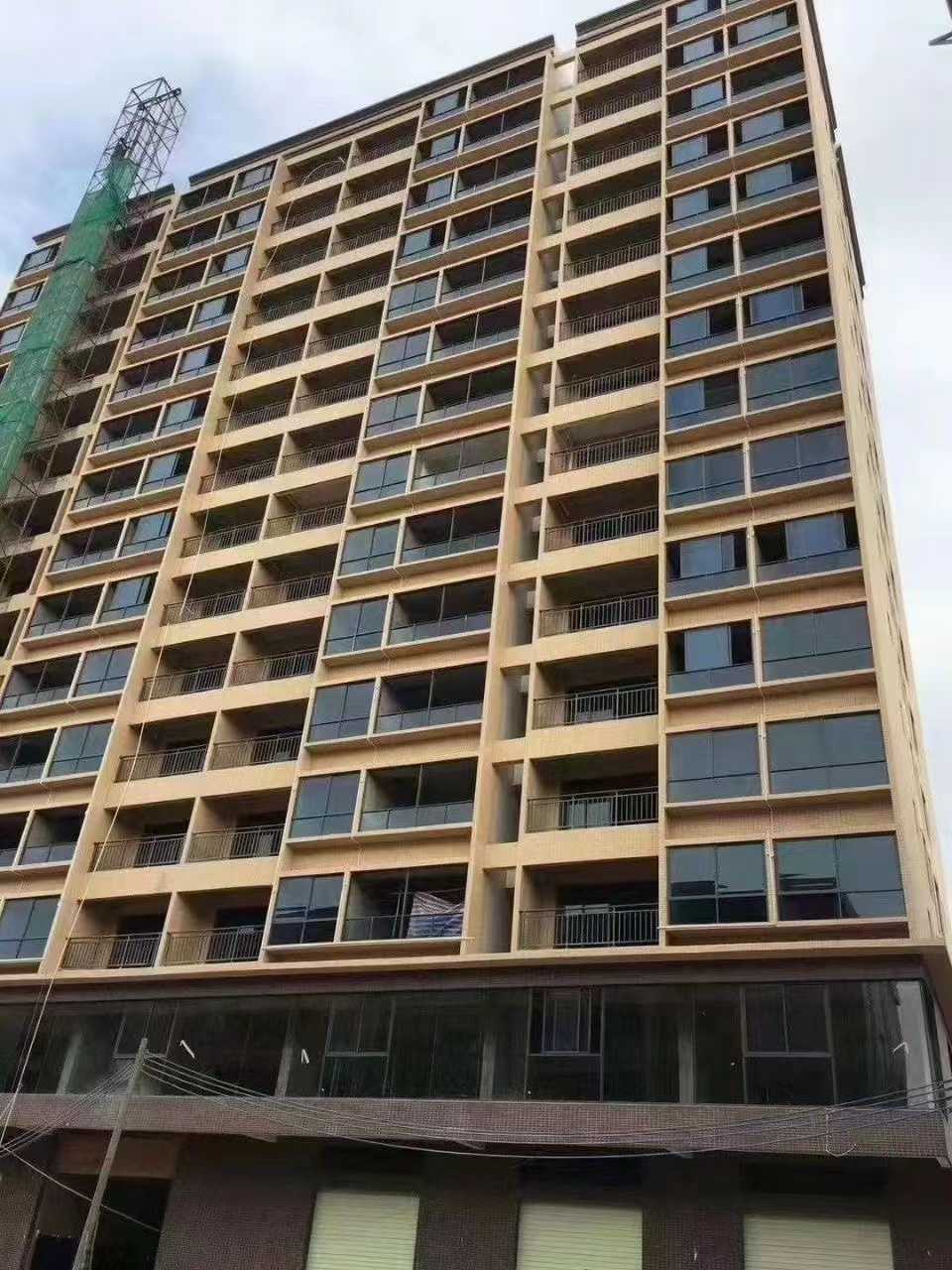 白菜价2980一平【世纪公馆】大朗荔香湿地公园(图4)