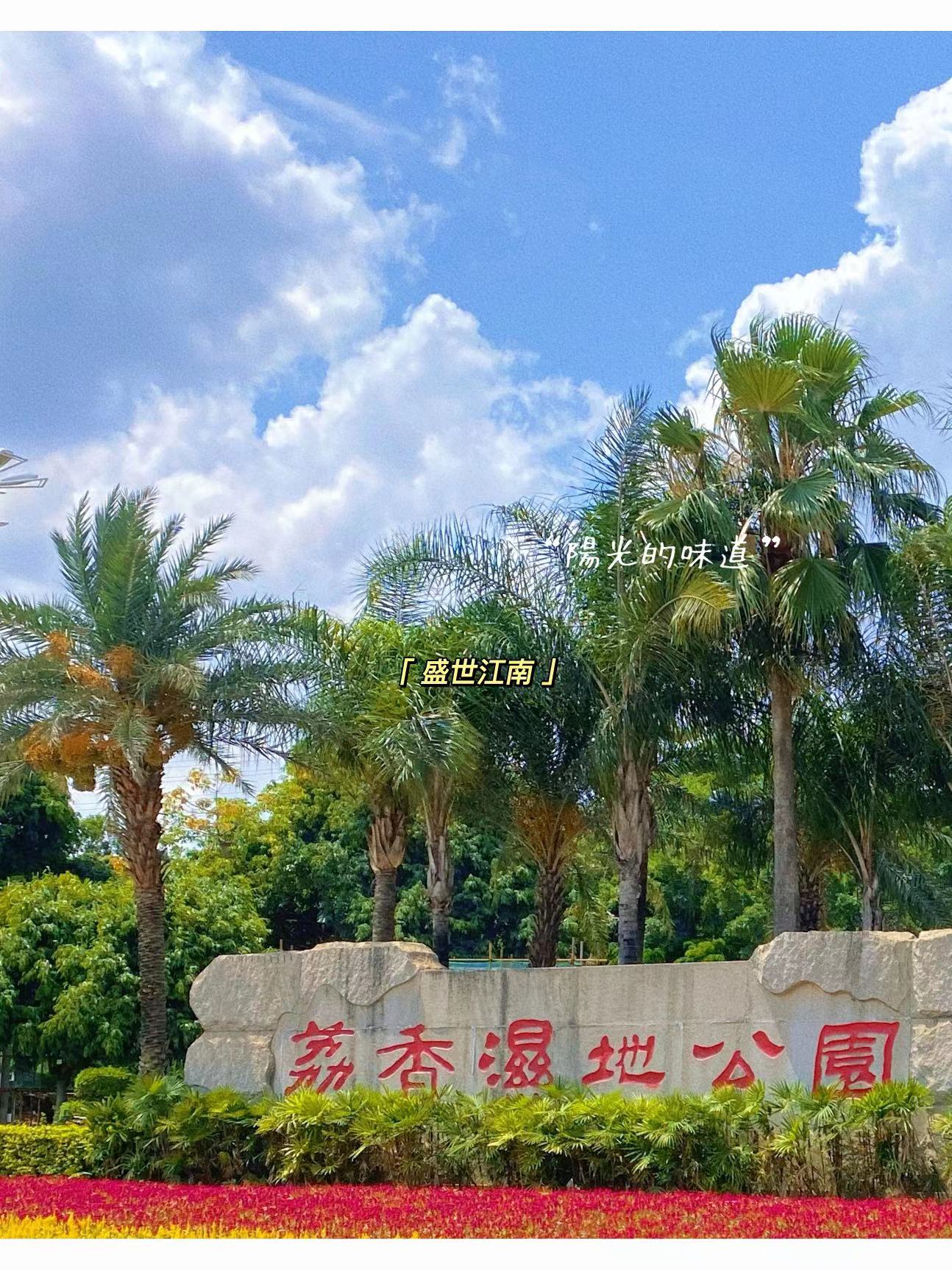 大朗第一中学旁【盛世江南】3栋花园6800一平(图3)