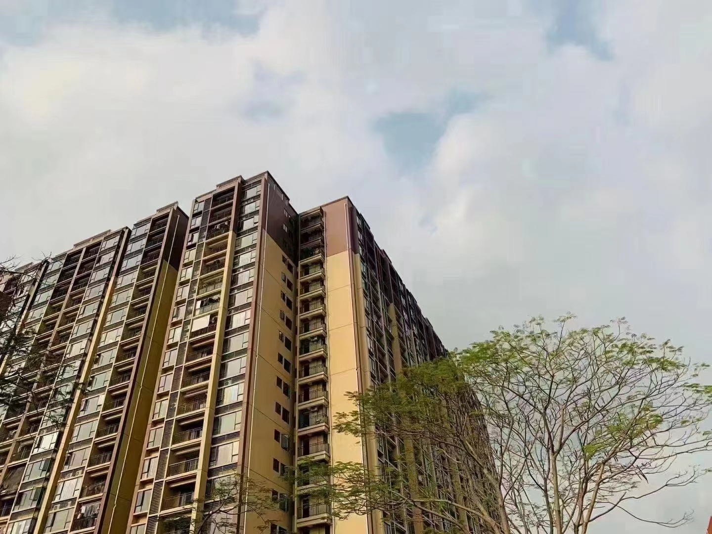 虎门大宁公园【柏林华府】3栋社区5980一平起(图2) 虎门大宁公园【柏林华府】3栋社区5980一平起(图2)