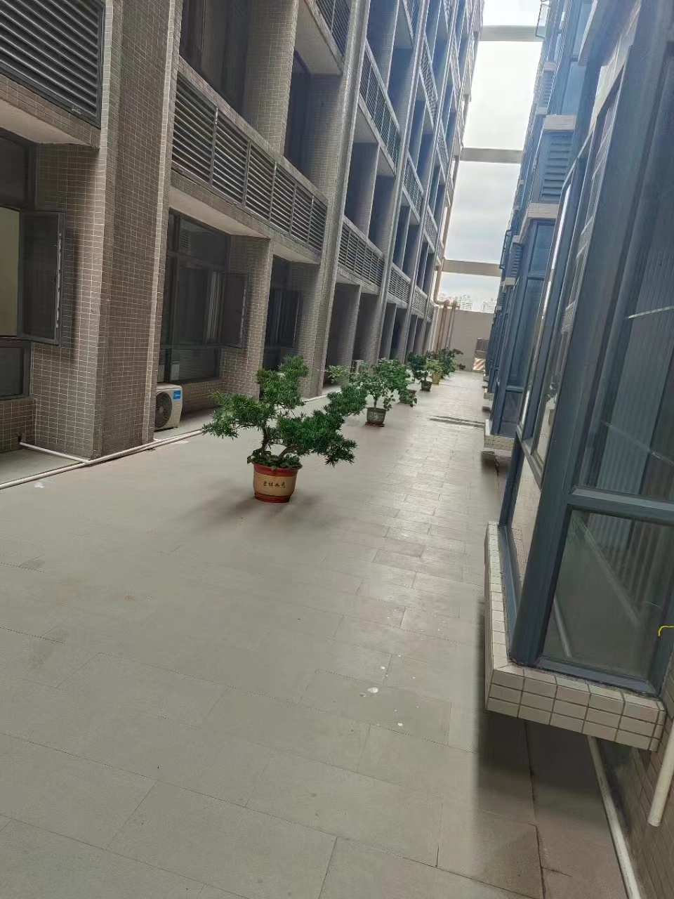 厚街体育馆旁【康美豪庭】2栋花园特价4980一平(图6)