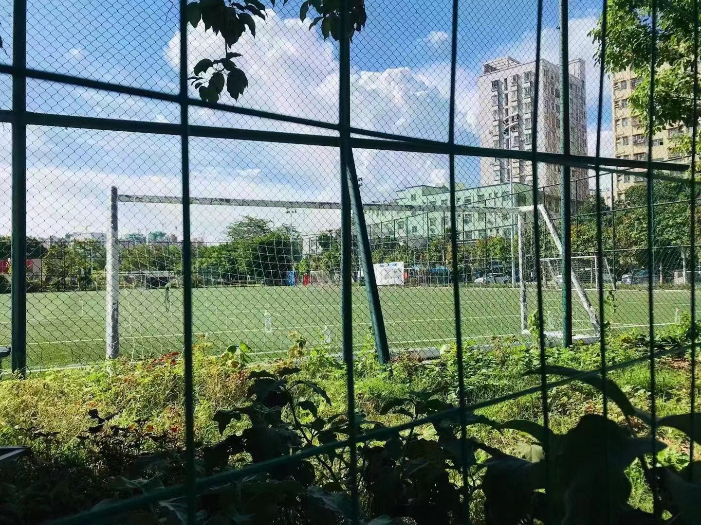 沙井3栋社区【新富公馆】可落户读公立学校36.3万一套(图4) 沙井3栋社区【新富公馆】可落户读公立学校36.3万一套(图4)