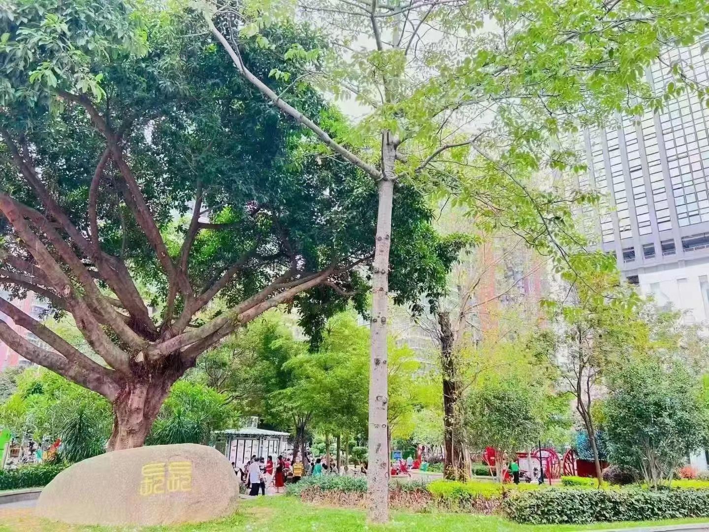 4号线龙华站【鑫园名居】弓村精装小两房61万一套(图3)