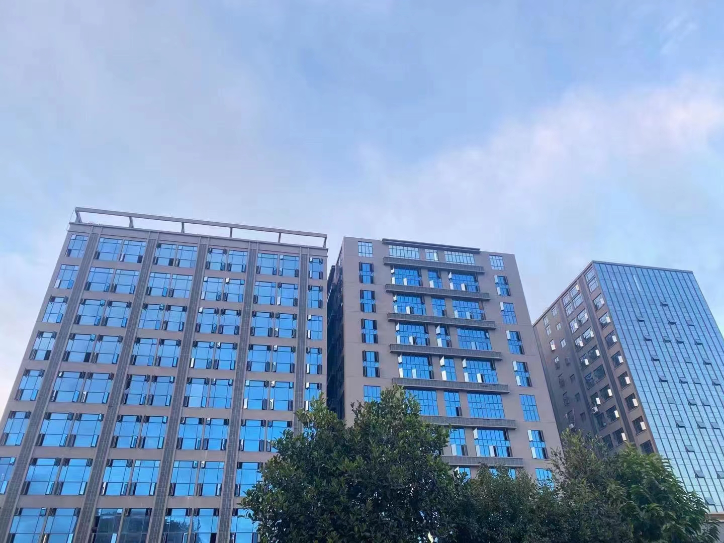 大岭山松湖天钻旁【松湖之星】3栋花园特价5880一平(图2)