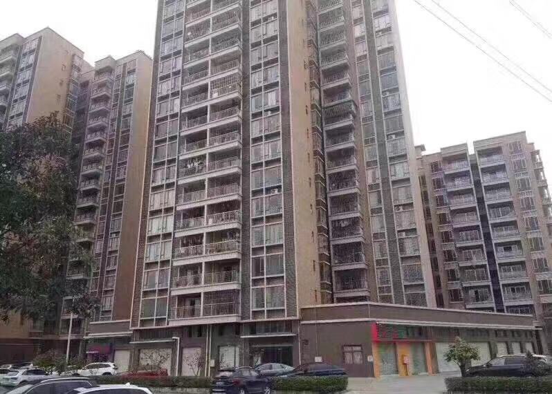 轻轨长安西站【金泽家园】6栋花园7888一平起(图5)