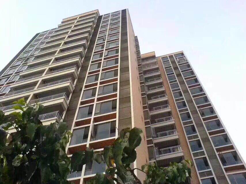 轻轨长安西站【金泽家园】6栋花园7888一平起(图6)