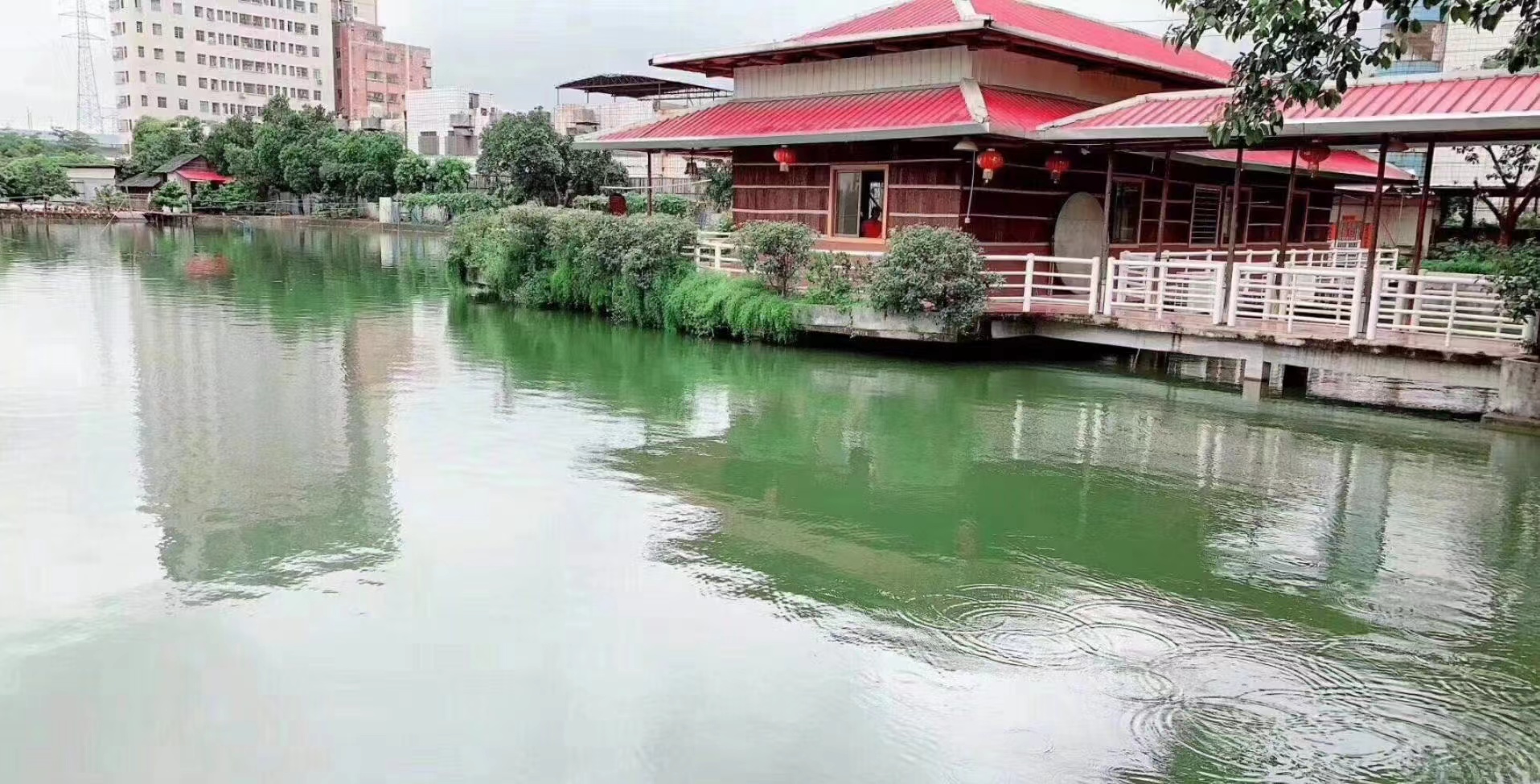 轻轨长安西站【金泽家园】6栋花园7888一平起(图4)