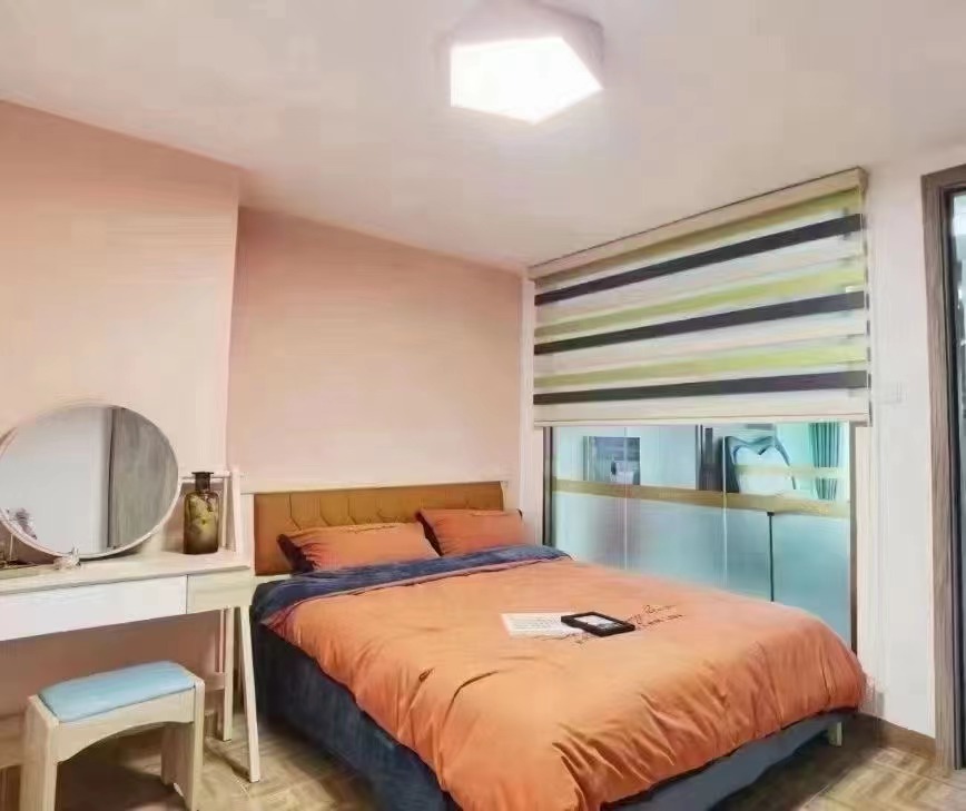 平湖华南城【华南时尚城】复试相当于12000一平(图13)