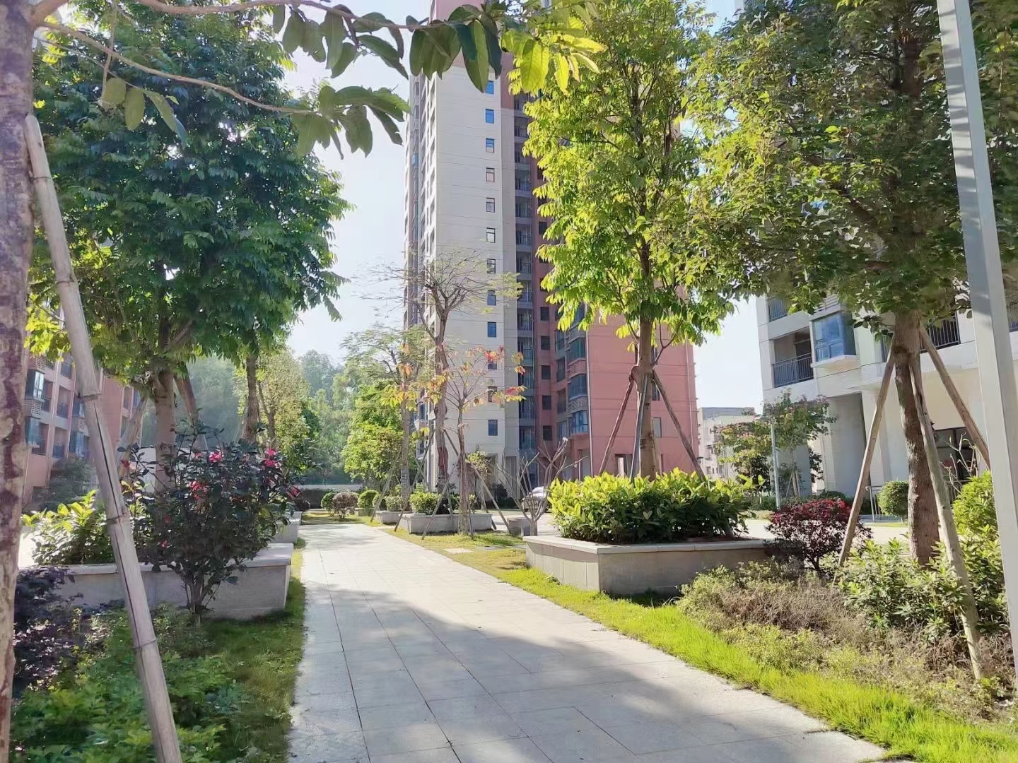 观澜湖地铁口【御湖天城】6栋花园25800一平(图4) 观澜湖地铁口【御湖天城】6栋花园25800一平(图4)