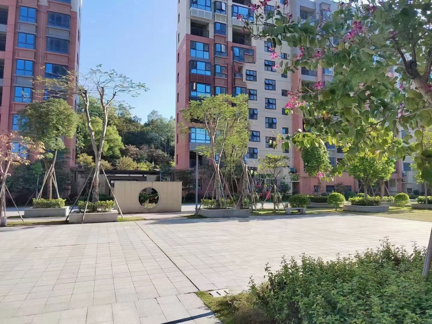 观澜湖地铁口【御湖天城】6栋花园25800一平(图6) 观澜湖地铁口【御湖天城】6栋花园25800一平(图6)