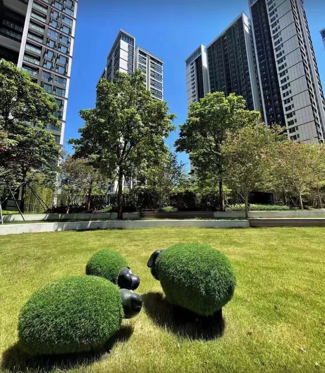 沙井红本房降1.4万一平【会展湾名座】近地铁口12栋花园(图5)