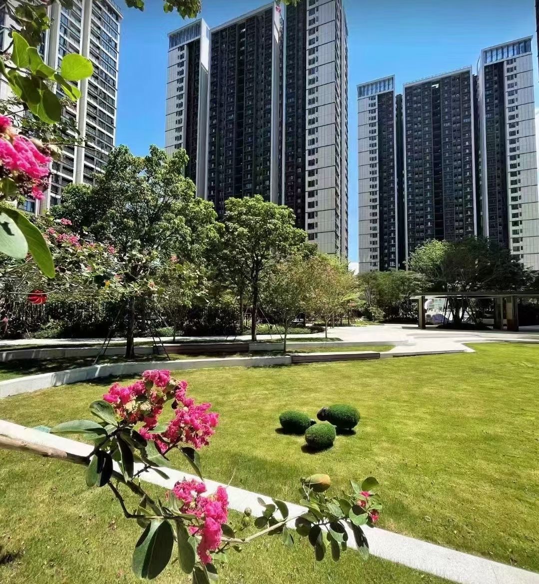 沙井红本房降1.4万一平【会展湾名座】近地铁口12栋花园(图6)